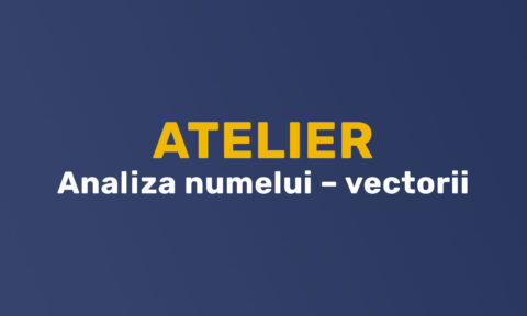 Atelier - Analiza NUMELUI & VECTORII