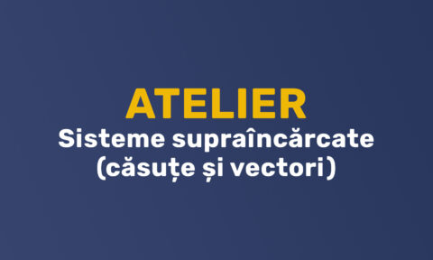 Atelier - Sisteme supraîncărcate (căsuțe și vectori). Cum gestionăm în viața de zi cu zi